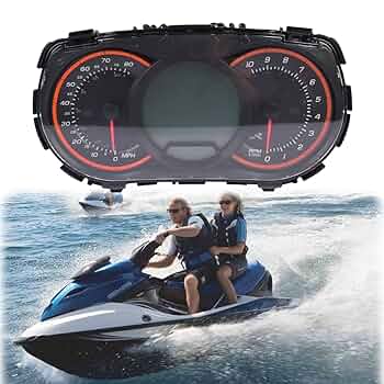 Amazon.com: 278002761 LCD Gauge Instrument Cluster Assembly